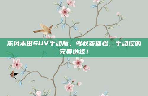 东风本田SUV手动版，驾驭新体验，手动控的完美选择！