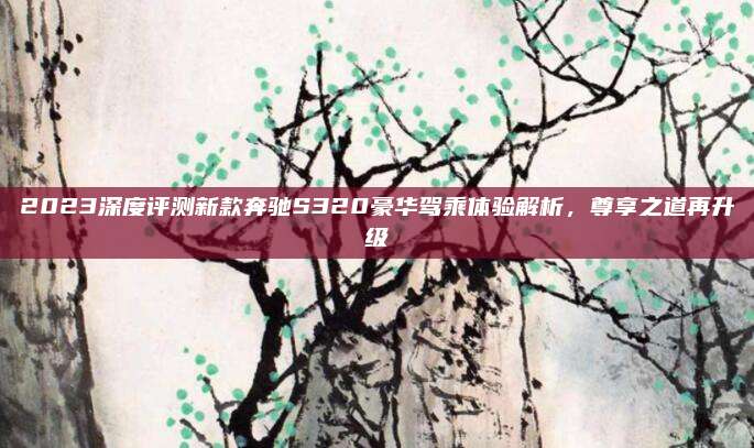 2023深度评测新款奔驰S320豪华驾乘体验解析，尊享之道再升级