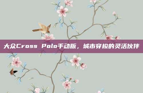 大众Cross Polo手动版，城市穿梭的灵活伙伴