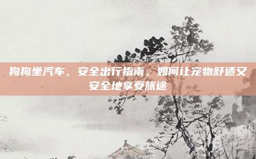 狗狗坐汽车,安全出行指南,如何让宠物舒适又安全地享受旅途