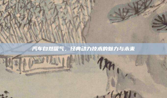 汽车自然吸气,经典动力技术的魅力与未来