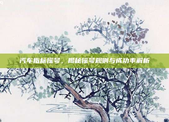 汽车指标摇号，揭秘摇号规则与成功率解析