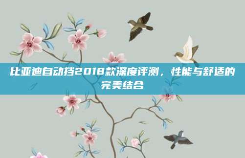 比亚迪自动挡2018款深度评测，性能与舒适的完美结合