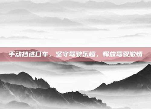 手动挡进口车,坚守驾驶乐趣,释放驾驭激情