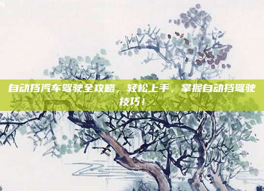 自动挡汽车驾驶全攻略，轻松上手，掌握自动挡驾驶技巧！