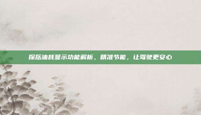 探岳油耗显示功能解析，精准节能，让驾驶更安心