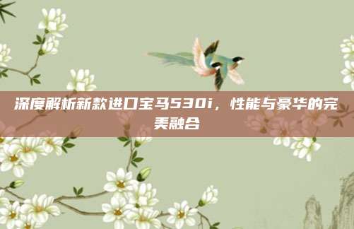 深度解析新款进口宝马530i，性能与豪华的完美融合