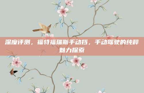 深度评测，福特福瑞斯手动挡，手动驾驶的纯粹魅力探索