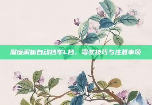 深度解析自动挡车L挡，驾驶技巧与注意事项