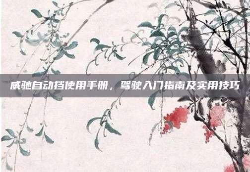 威驰自动挡使用手册，驾驶入门指南及实用技巧