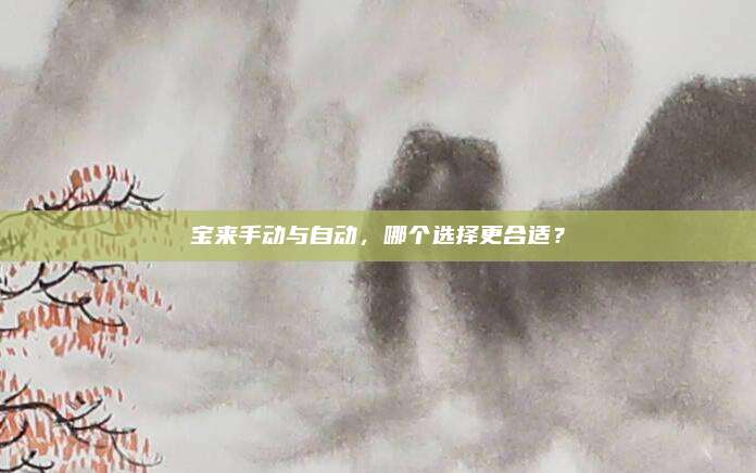 宝来手动与自动，哪个选择更合适？