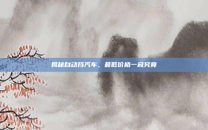 揭秘自动挡汽车,最低价格一窥究竟
