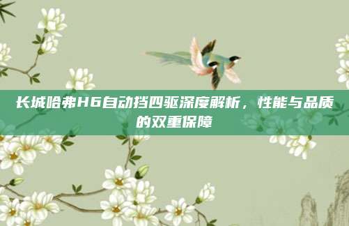 长城哈弗H6自动挡四驱深度解析，性能与品质的双重保障
