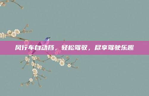 风行车自动挡，轻松驾驭，尽享驾驶乐趣