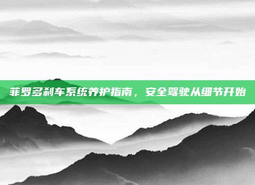 菲罗多刹车系统养护指南，安全驾驶从细节开始