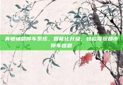 奔驰辅助停车系统，智能化升级，轻松驾驭都市停车难题