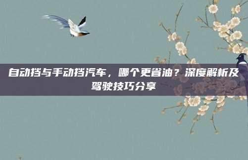 自动挡与手动挡汽车，哪个更省油？深度解析及驾驶技巧分享