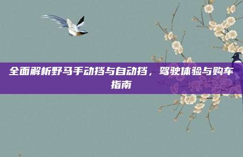 全面解析野马手动挡与自动挡,驾驶体验与购车指南