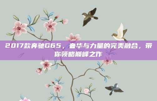 2017款奔驰G65,奢华与力量的完美融合,带你领略巅峰之作