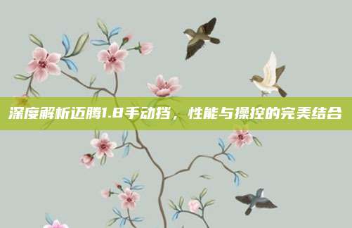 深度解析迈腾1.8手动挡，性能与操控的完美结合
