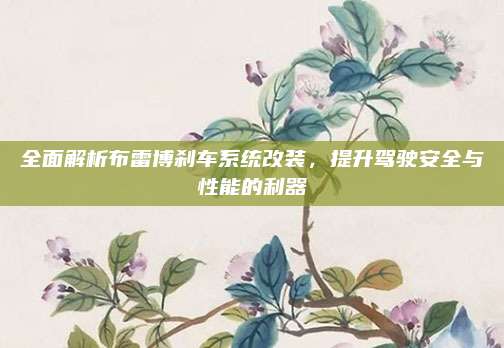 全面解析布雷博刹车系统改装，提升驾驶安全与性能的利器