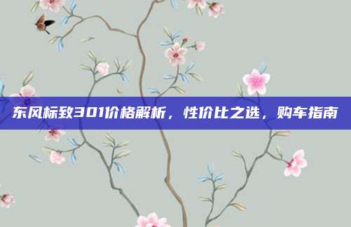 东风标致301价格解析，性价比之选，购车指南