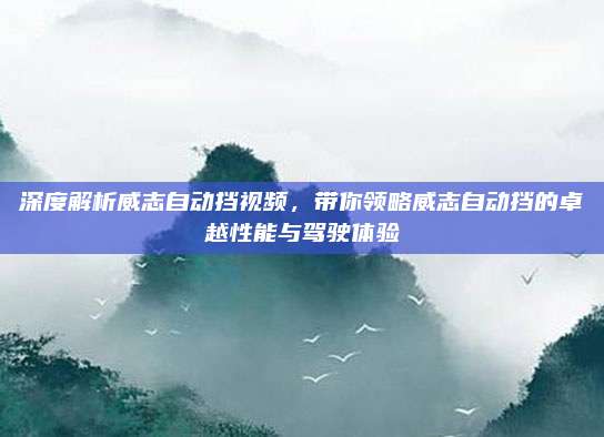 深度解析威志自动挡视频,带你领略威志自动挡的卓越性能与驾驶体验