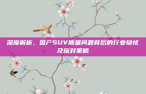 深度解析，国产SUV质量问题背后的行业隐忧及应对策略