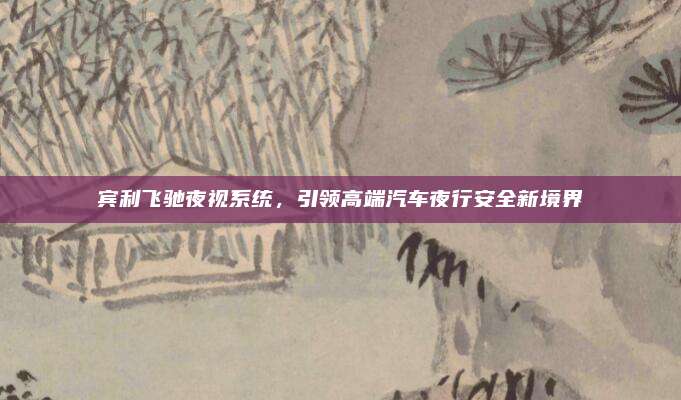 宾利飞驰夜视系统，引领高端汽车夜行安全新境界