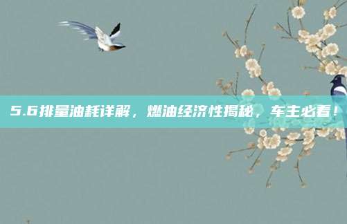 5.6排量油耗详解,燃油经济性揭秘,车主必看!