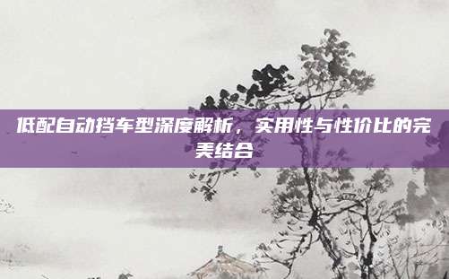低配自动挡车型深度解析，实用性与性价比的完美结合
