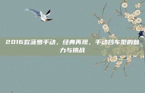 2016款菠萝手动，经典再现，手动挡车型的魅力与挑战