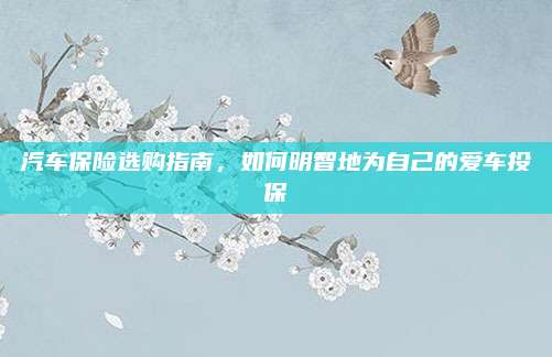 汽车保险选购指南，如何明智地为自己的爱车投保