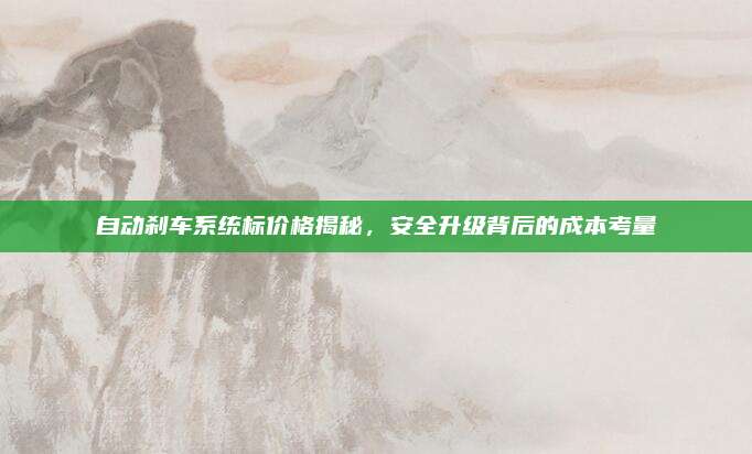自动刹车系统标价格揭秘，安全升级背后的成本考量