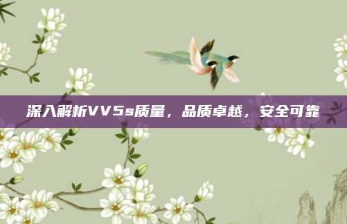 深入解析VV5s质量，品质卓越，安全可靠