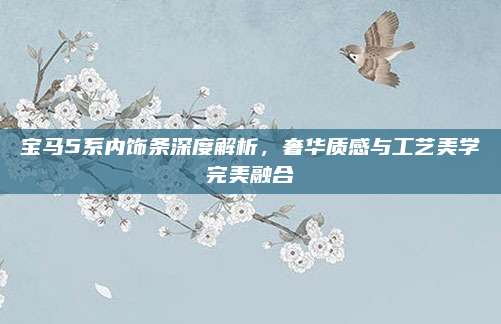 宝马5系内饰条深度解析，奢华质感与工艺美学完美融合