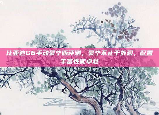 比亚迪G6手动豪华版评测，豪华不止于外观，配置丰富性能卓越