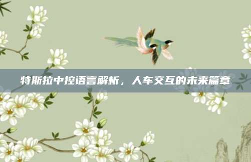 特斯拉中控语言解析，人车交互的未来篇章