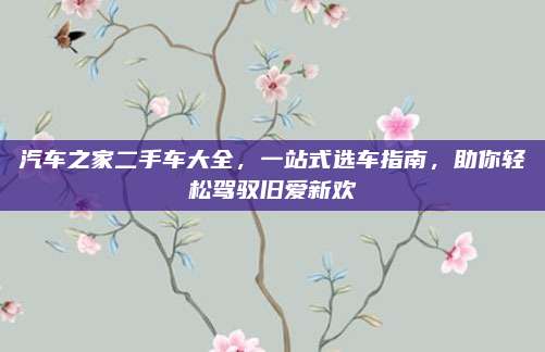 汽车之家二手车大全,一站式选车指南,助你轻松驾驭旧爱新欢