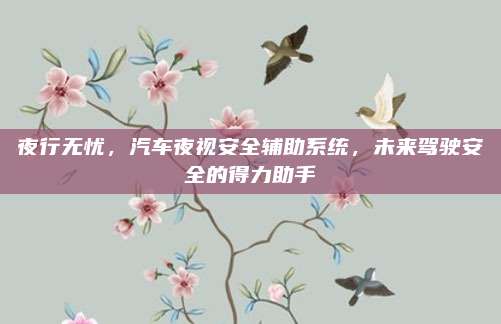 夜行无忧，汽车夜视安全辅助系统，未来驾驶安全的得力助手