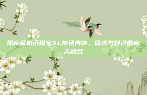 深度解析迈锐宝XL灰色内饰，质感与舒适的完美融合