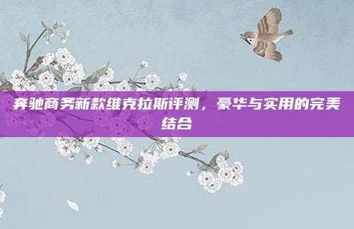 奔驰商务新款维克拉斯评测，豪华与实用的完美结合
