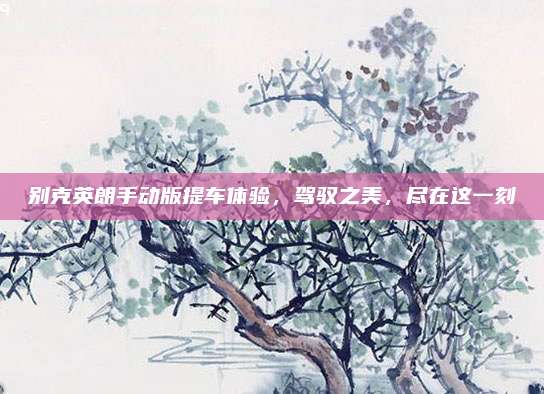 别克英朗手动版提车体验，驾驭之美，尽在这一刻