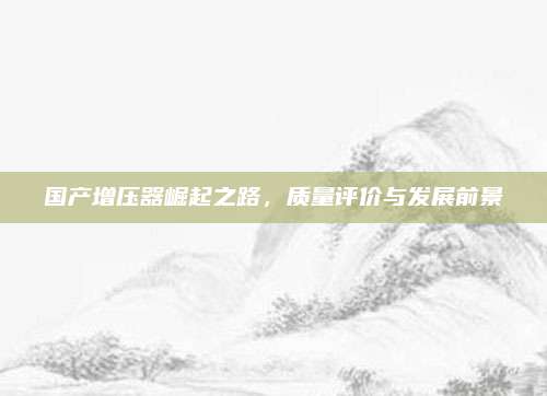 国产增压器崛起之路,质量评价与发展前景