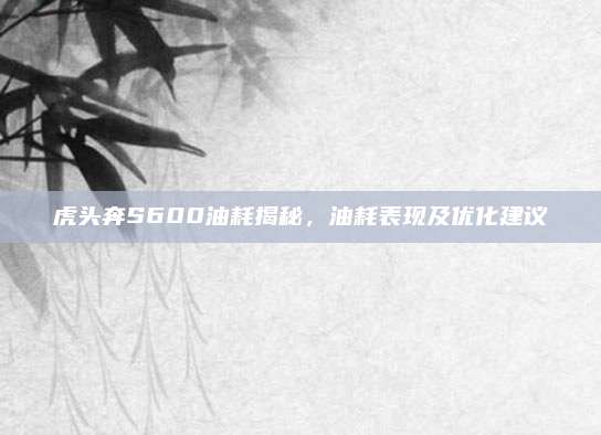 虎头奔S600油耗揭秘，油耗表现及优化建议