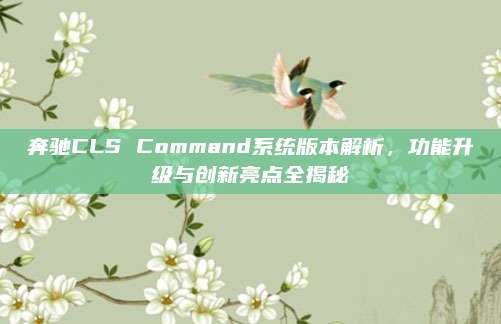 奔驰CLS Command系统版本解析，功能升级与创新亮点全揭秘