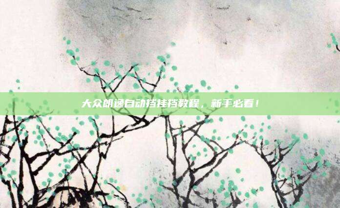 大众朗逸自动挡挂挡教程，新手必看！
