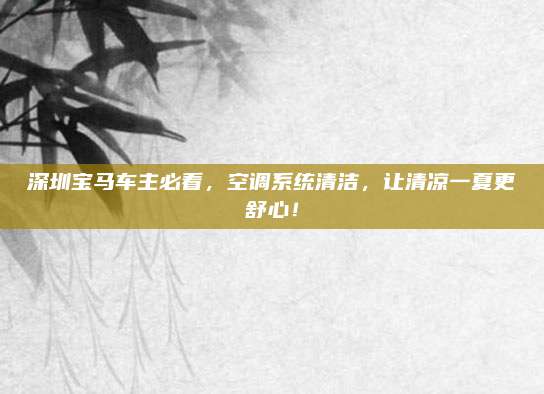深圳宝马车主必看，空调系统清洁，让清凉一夏更舒心！