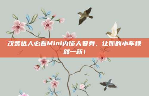 改装达人必看Mini内饰大变身，让你的小车焕然一新！