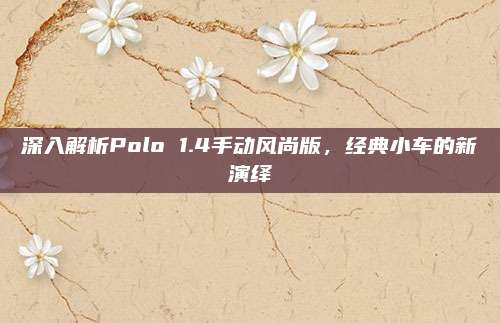 深入解析Polo 1.4手动风尚版，经典小车的新演绎